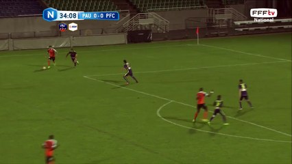 Tête plongeante de Nanizayamo cadrée