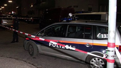 Austri, arrestohet shqiptari i dyshuar për terrorizëm  - Top Channel Albania - News - Lajme
