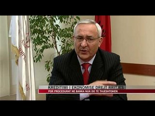 Kreditimi i ekonomise drejt rritjes  - News, Lajme - Vizion Plus