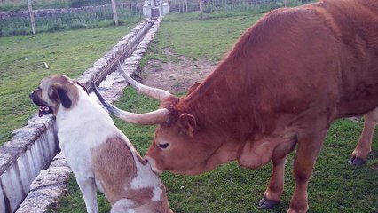 Hey, It's My Brother From Another Mother