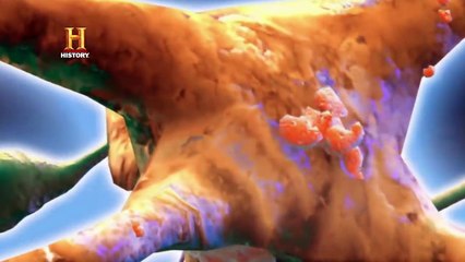 SUPER CÉREBROS - ALIENÍGENAS DO PASSADO - HISTORY