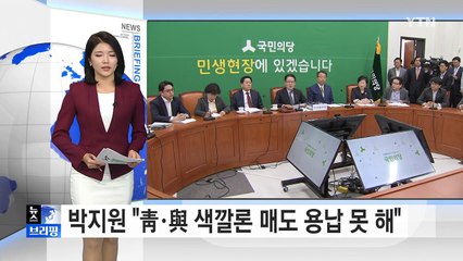 박지원 "靑·새누리당 색깔론 매도 용납 못 해" / YTN (Yes! Top News)