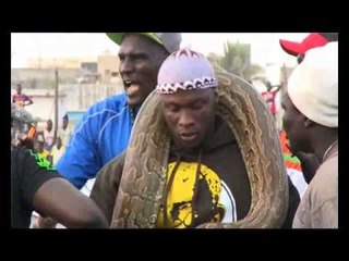 Bantamba du 27 Mai Ama Baldé sort son serpent