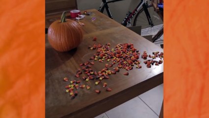 When you eat too Much Halloween Candy