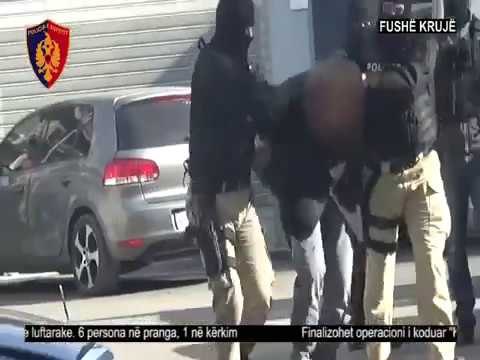 Report TV - Fushë-Krujë kapen 425 kg kanabis e 12 armë, 6 të arrestuar