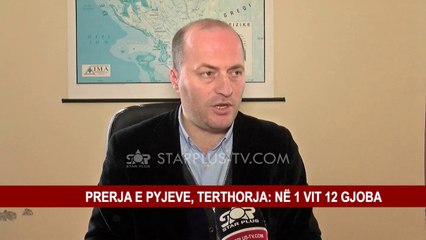 PRERJA E PYJEVE, TERTHORJA: NË 1 VIT 12 GJOBA