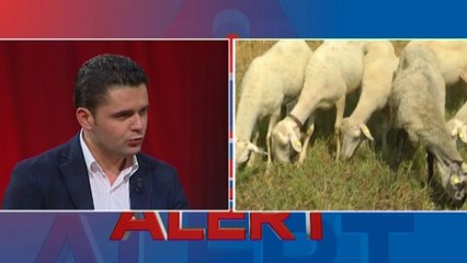 Ora News - “Alert”/Rreziku nga sëmundja e Antraksit, si duhet të kujdesemi!