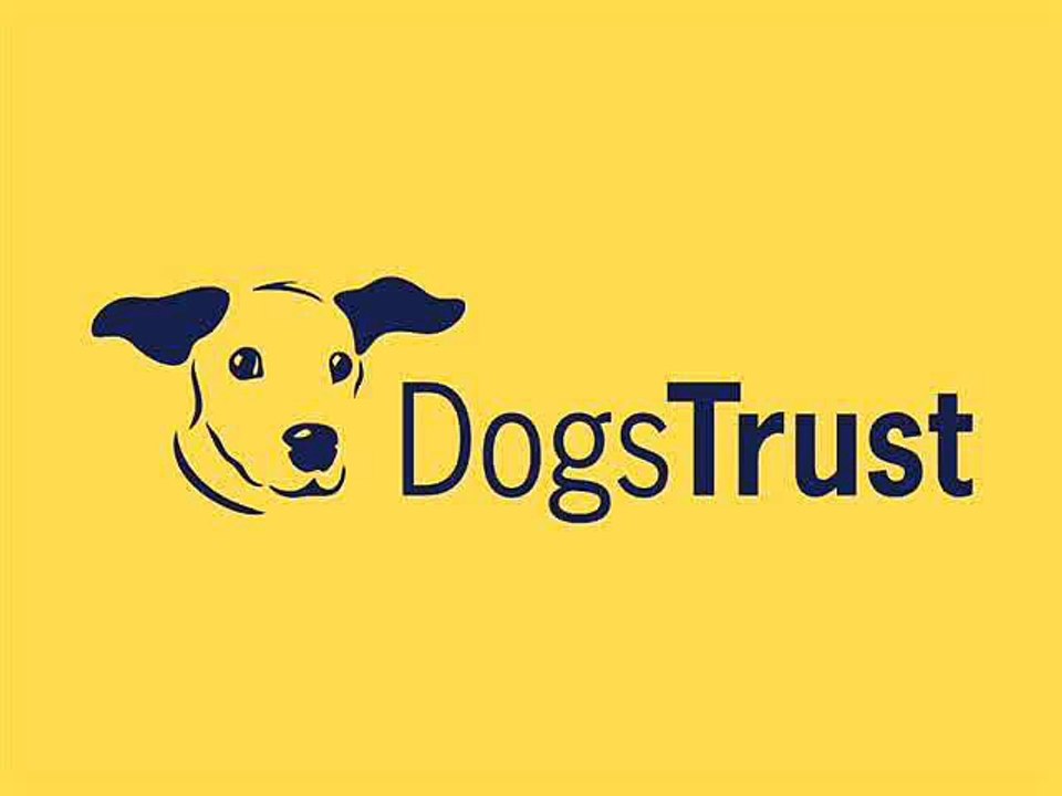 Dogs Trust Ireland Radio Advertisement 2013