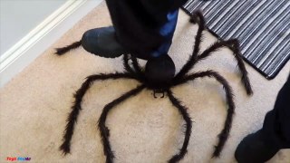 GIANT SPIDERS ATTACK GIRL COMPILATION MOVIE -