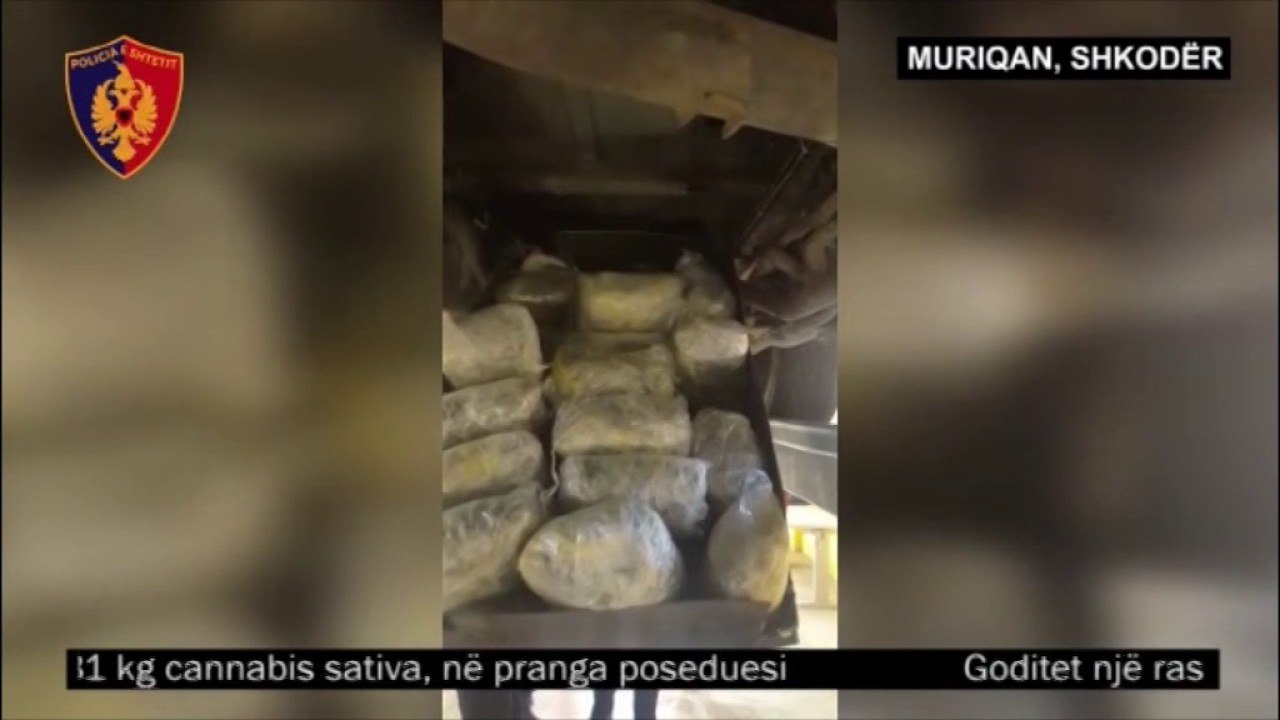 Ora News - Sekuestrohen 31 kg kanabis në Muriqan, arrestohet 38-vjeçari nga Tirana