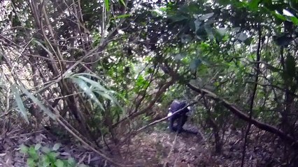 201702【伊豆の地磯】松崎町『室崎』編　前編　磯道のご紹介です