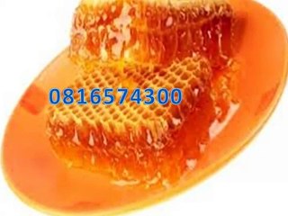 0816574300 (Indosat ) Distributor Madu Anak Rejang Lebong