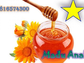 0816574300 (Indosat ) Distributor Madu Anak Kota Bengkulu
