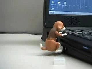 Chien Chaud Clé USB