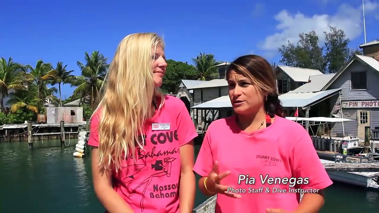 Shark asks several Divers for help