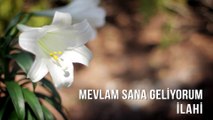 Müziksiz İlahiler - Mevlam Sana Geliyorum