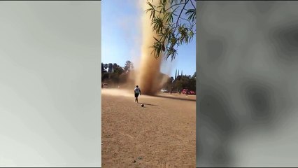 Baby Typhoon From Little Can be The Dangerous One