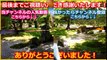 ドイツ人が出張で来日。屋形船や居酒屋に興味津々！ドイツ君は焼き鳥が気に入ったらしいｗ【親日外国人日本びいき和む話】