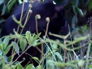 Psycho Killer 雨夜天魔 1993 1 part 1/2