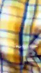 Dekho ashiqo ko kitni mar par rai ha (2)