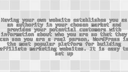 3 Things That No Affiliate Marketing Expert Would Be Without
