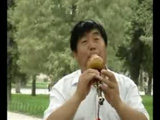 Le musicien du parc impérial de la cité interdite