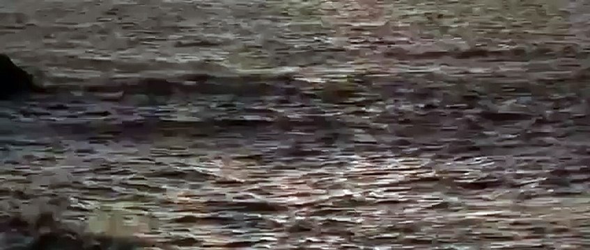 吉永淳 「…好きだよ」 ラブシーン　村上虹郎×吉永淳 ムビコレのチャンネル登録はこちら▷▷ goo.gl/ruQ5N7 【関連動画】