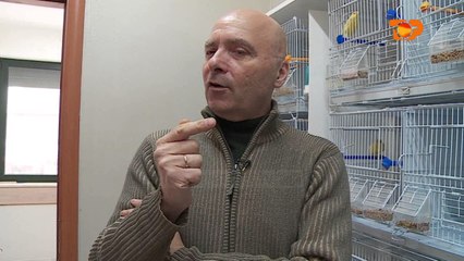 Ne Shtepine Tone, 3 Shkurt 2017, Pjesa 4 - Top Channel Albania - Entertainment Show