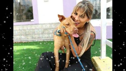 FELIZ ANIVERSÁRIO VAN MESQUITA