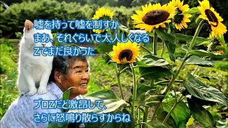【すごい日本人】日本のおばあちゃんが韓国人の虚言を完全論破！空気の読めない韓国人を黙らせたｗ「そういう事も考えた方がいいよ」韓国人の乱暴狼藉に驚愕する 韓国人の立入禁止がこのままで