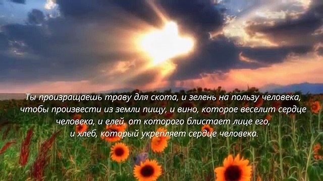 Слово Божье Псалом 103