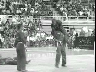 vovinam championnat du monde 2007