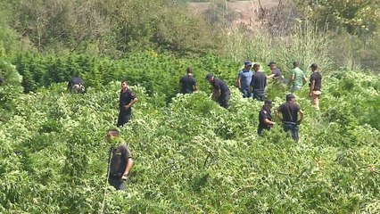 Drejtuesit e policisë, në burg - Top Channel Albania - News - Lajme