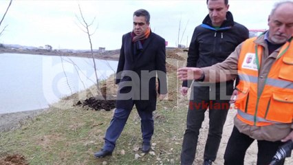 Mbillen pemë të reja në Liqenin e Kasharit