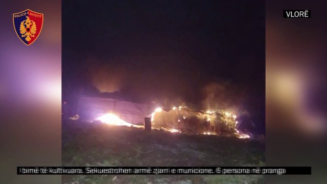Burg për policët të përfshirë në kultivimin e kanabisit, zbardhen përgjimet