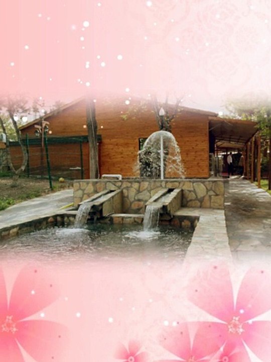 Ali's Garden Ankara Kır Düğünü - Düğün Salonu - Kahvaltı - Brunch - toplantı - toplu yemek