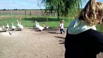 Elle a voulu jouer à la bergère avec ses oie et c'est elle qui va devenir la proie.. ahah