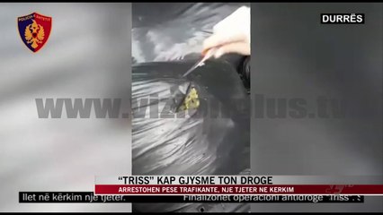 “Triss” kap gjysmë ton drogë - News, Lajme - Vizion Plus