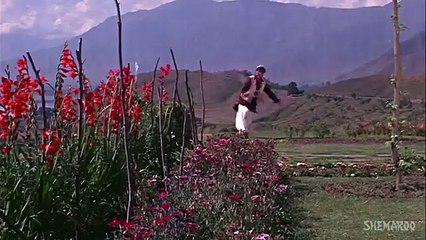Affo Khudaa Hum Ko Tum Pe Pyar Aya- Shashi Kapoor - Nanda - Jab Jab Phool Khile - Old Hindi Hits