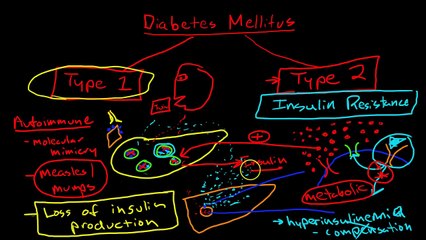 Pathophysiology of Diabetes Mellitus