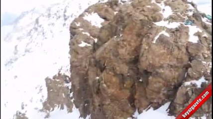 Kurtların dahi çıkamadığı yerlerde Mehmetçik var