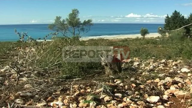 Report TV - Vëllai më mori pronën, zgjidhje ose vetëgjyqësi konflikti në Vlorë