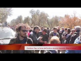 Espianti ulivi sul tracciato del gasdotti, interruzione momentanea dei lavori - Leccenews24