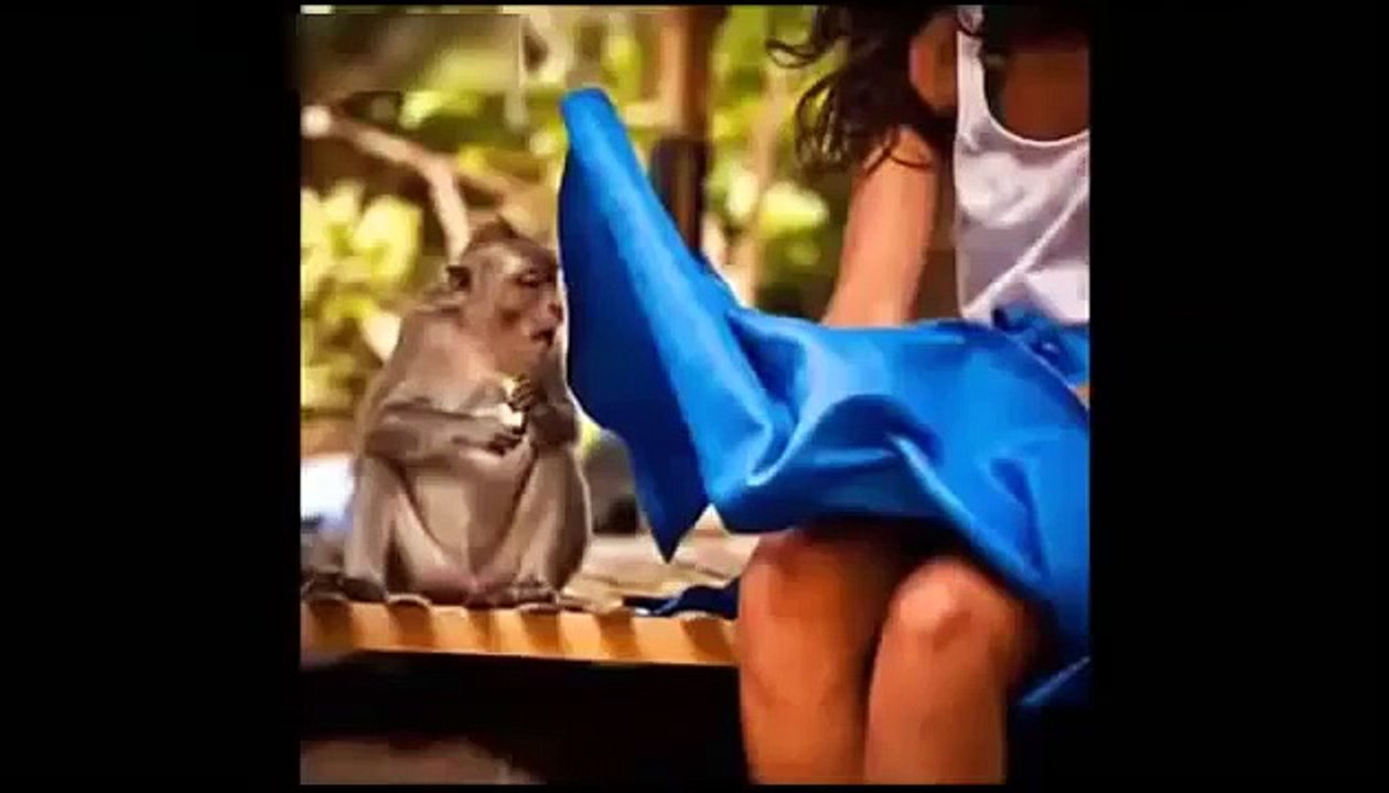 【2016年最新】激かわGカップアイドルRAMUちゃんの芸人顔負け爆笑おもしろ動画150連発！！これで笑わなかったら１００万円！vineで話題の爆笑高校ネタ大連発！