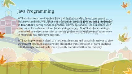 Best Java Training Courses in Jalandhar - WTLabs Institute