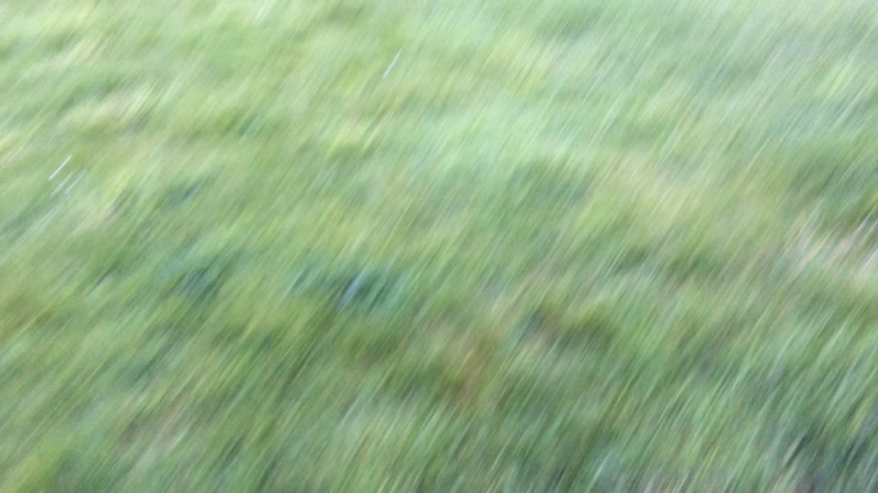 Pompiers en exercice au Porzou