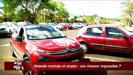 ATPA 31 03 17 MALADIE MENTALE EMPLOI FRANCOISE GRUETTE OK