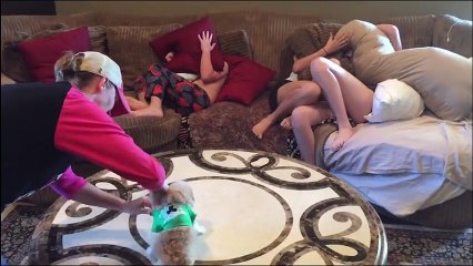 La réaction de ces 3 enfants en découvrant la surprise que leur a réservé leurs parents n'a pas de prix, vraiment
