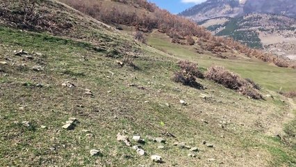 Natyre, Kukes, Albania