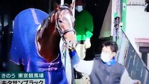 【キタサンブラック馬主 北島三郎さん発送前インタビュー